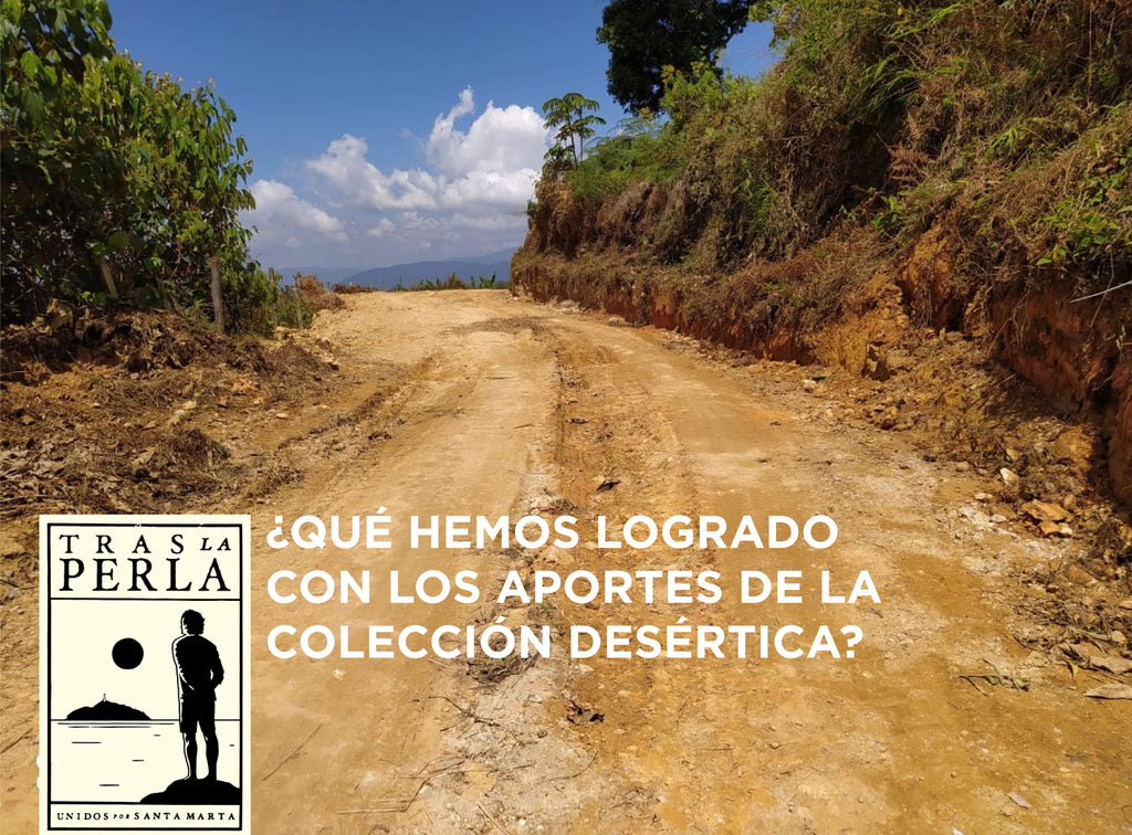 [REPORTE] #DESÉRTICA Arreglo de la carretera de la comunidad Arhuaca de Kantinurwa